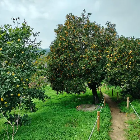 Quinta Vale Do Cabo