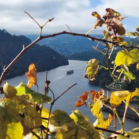 Quinta Vale Do Cabo * Рибадору