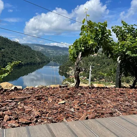 Gospodarstwo wiejskie Quinta Vale Do Cabo