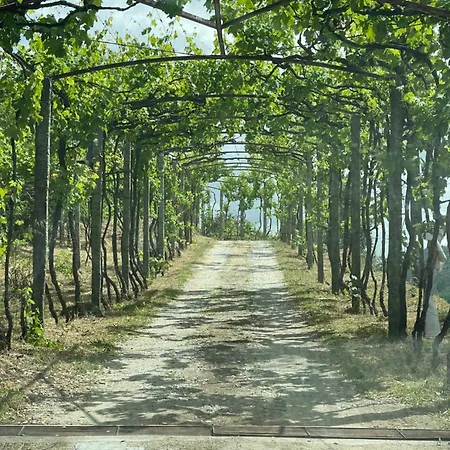 Quinta Vale Do Cabo Ribadouro