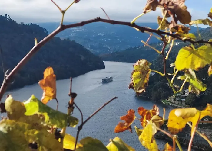 Quinta Vale Do Cabo * Ribadouro