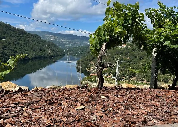 Casa de Campo Quinta Vale Do Cabo