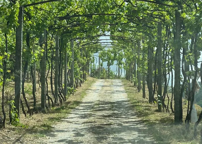 Quinta Vale Do Cabo Ribadouro