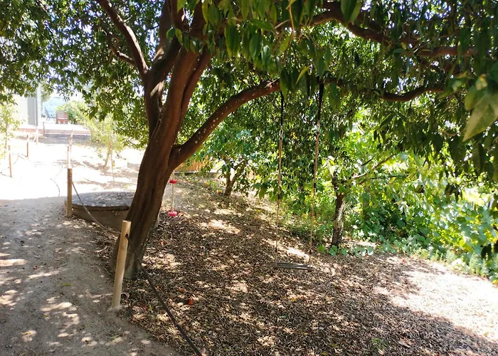 Quinta Vale Do Cabo Kır Evi